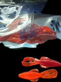 Bad Bug - Fire Craw